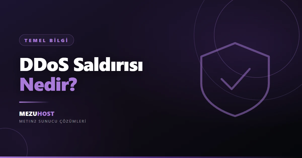 DDoS Saldırısı Nedir ve Nasıl Çalışır?